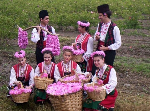 Долина роз Долина роз