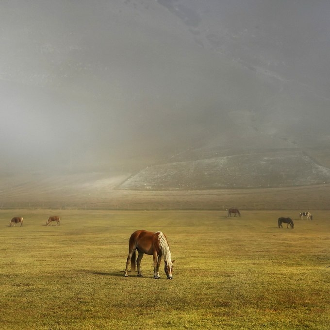Пейзажи Edmondo Senatore Пейзажи Edmondo Senatore