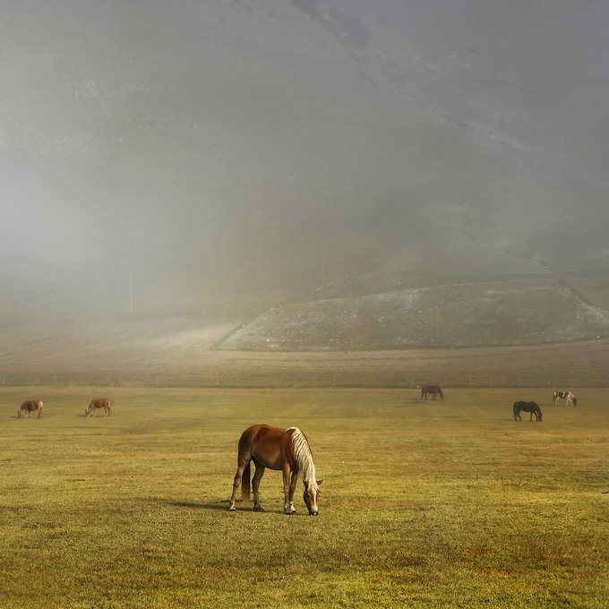 Пейзажи Edmondo Senatore