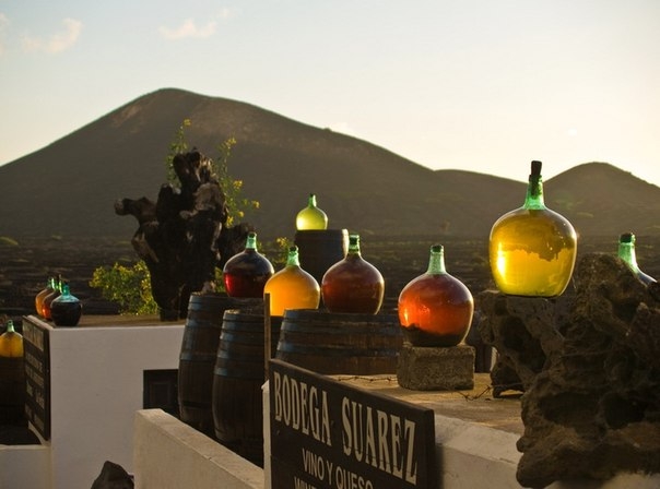 Вулканические виноградники острова Лансароте