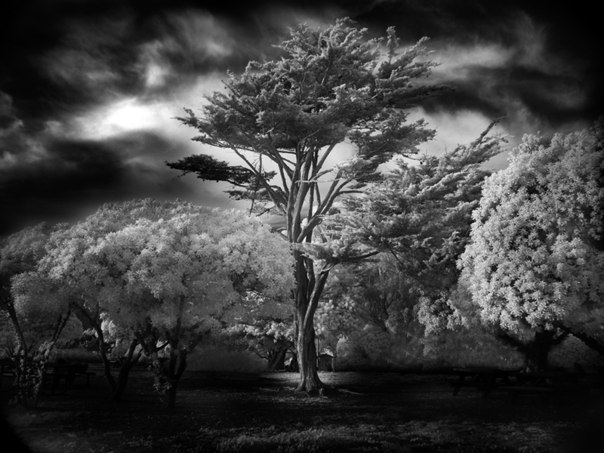 Черно-белая планета глазами Mitch Dobrowner