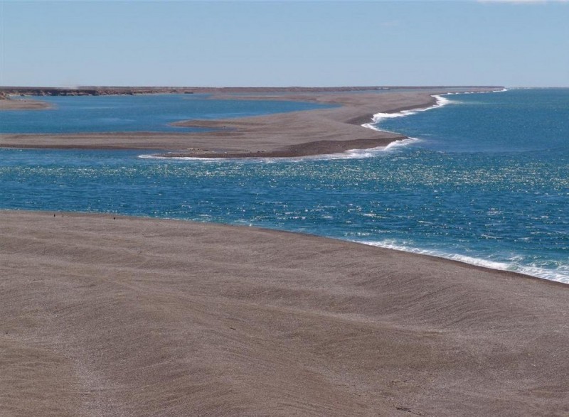 Полуостров Вальдес: рай для животных и морской фауны (Аргентина)