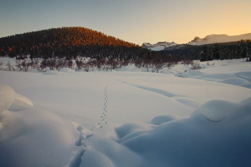 Ергаки, Красноярский край, Россия