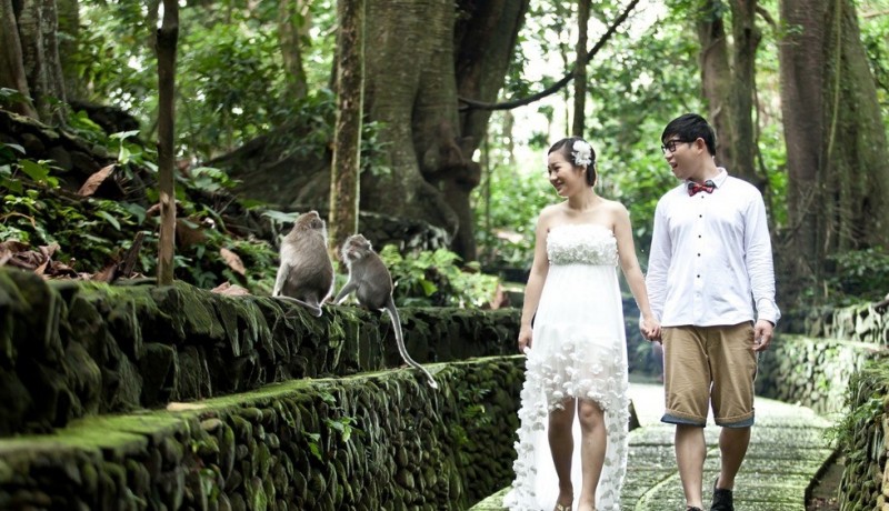 Лес обезьян на острове Бали