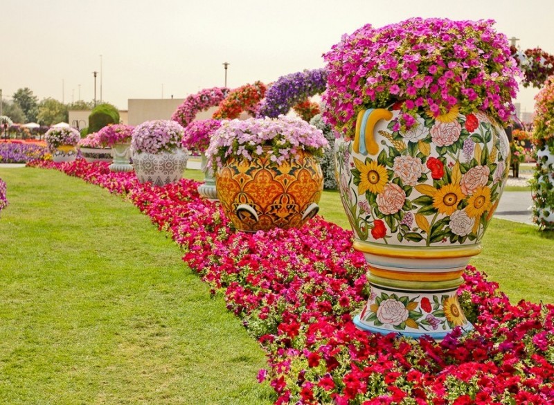 Dubai Miracle Garden: чудо-сад на песках (АОЭ)