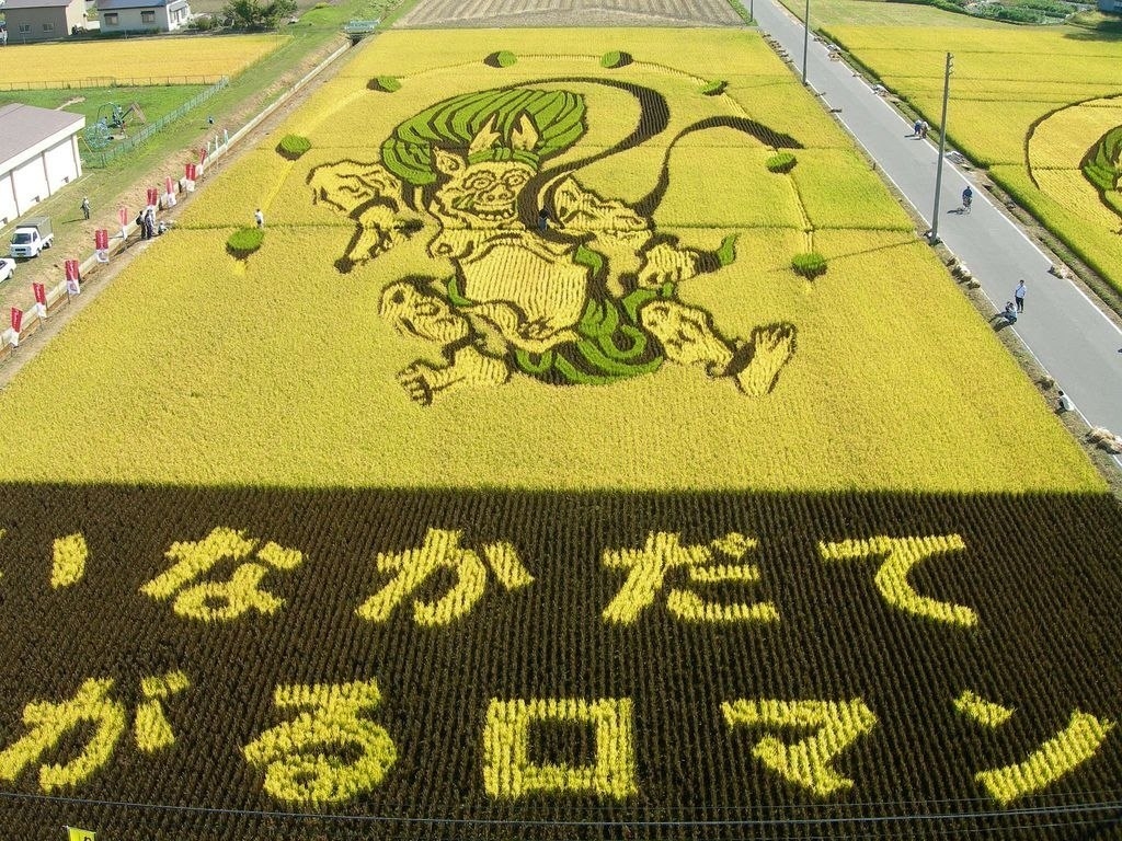 Рисунки на рисовых полях