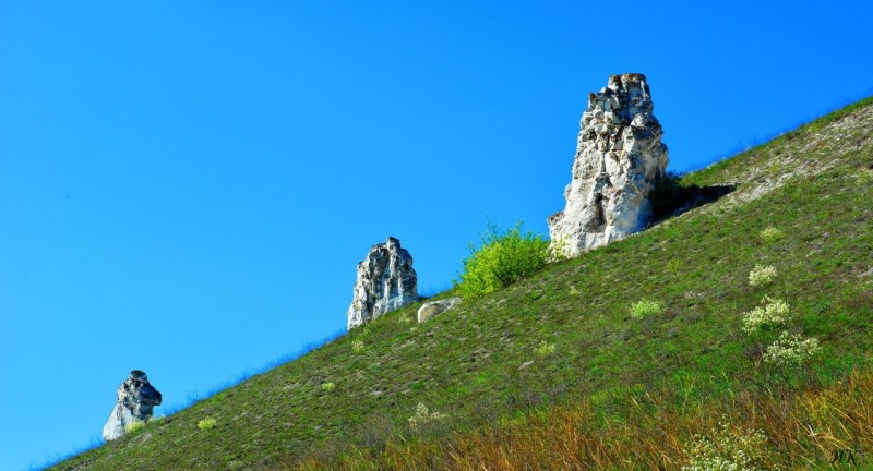 Дивногорье, Воронежская область