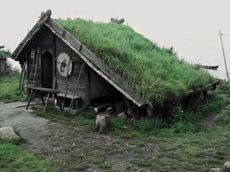 Живые крыши домов в Норвегии.
