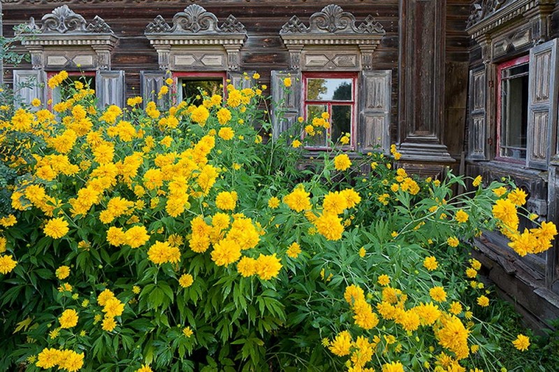 Старинный терем в Погорелово. Костромская область Старинный терем в Погорелово. Костромская область