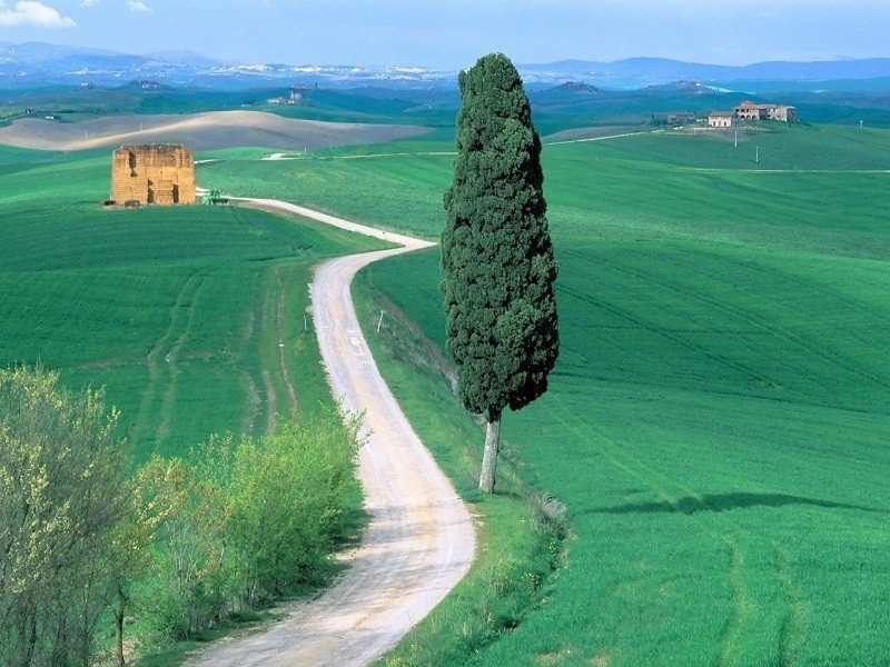 Завораживающие пейзажи Тосканы