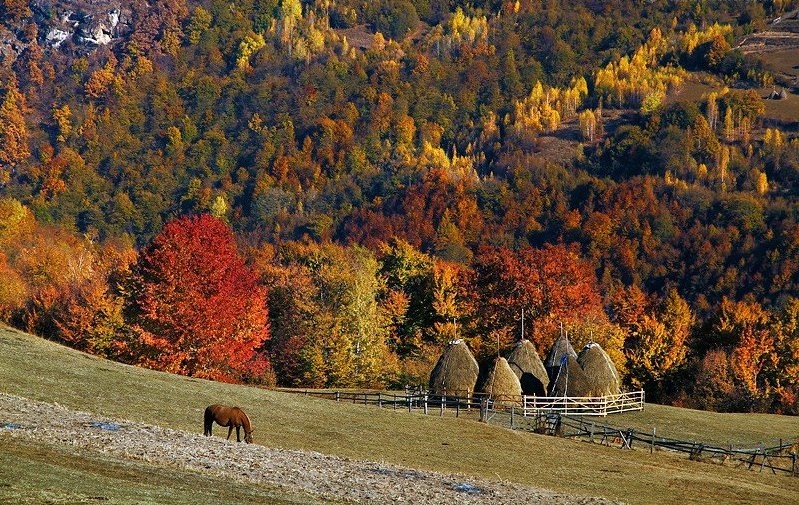 Осень в Западно-Румынских горах