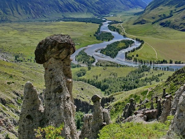 Каменные грибы Алтая