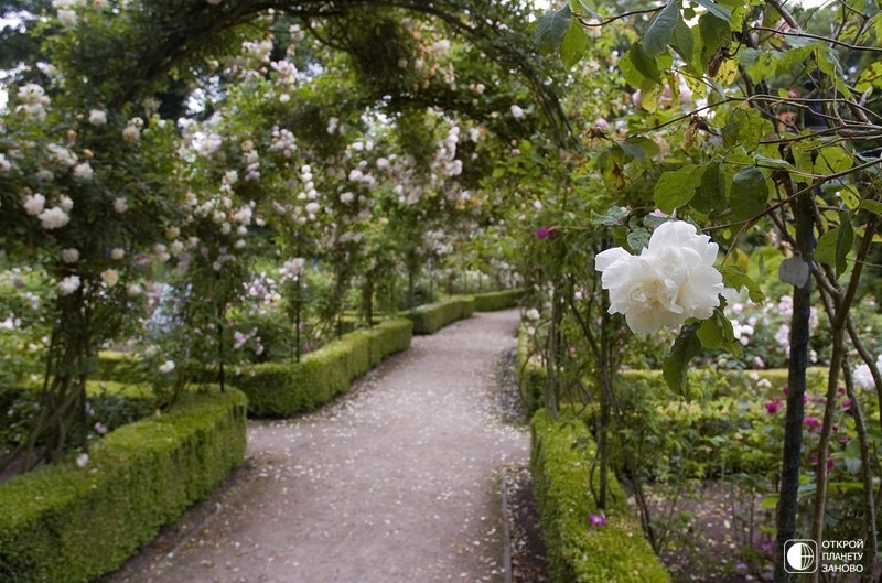 Сады Brodsworth Hall. Англия