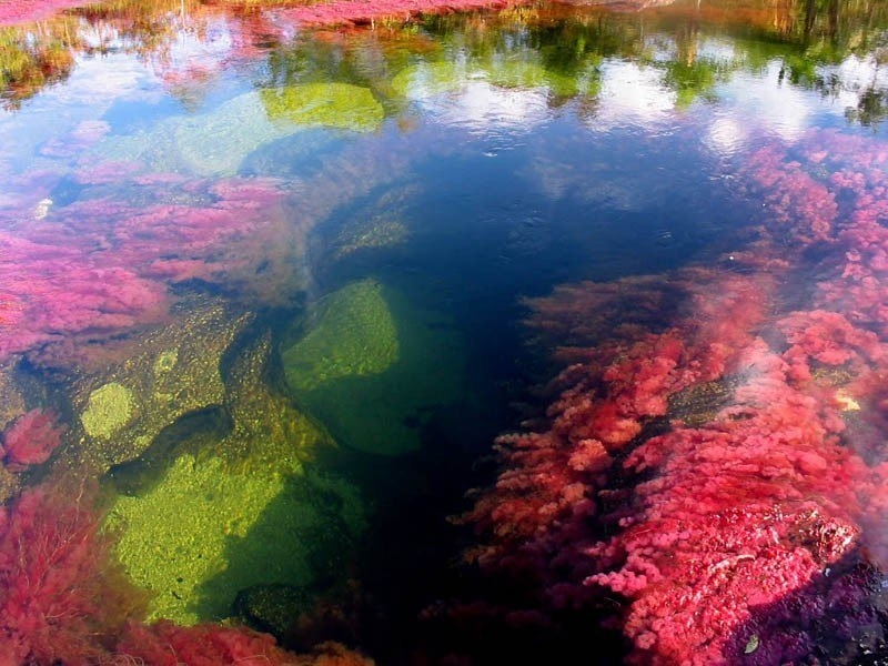 8 самых красивых водных ландшафтов мира 8 самых красивых водных ландшафтов мира