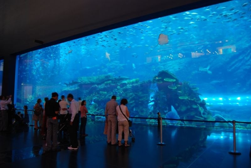 Огромный аквариум - Dubai Mall Aquarium, Дубай (ОАЭ)