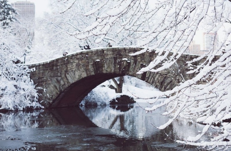 Зимний Центральный парк, Нью-Йорк