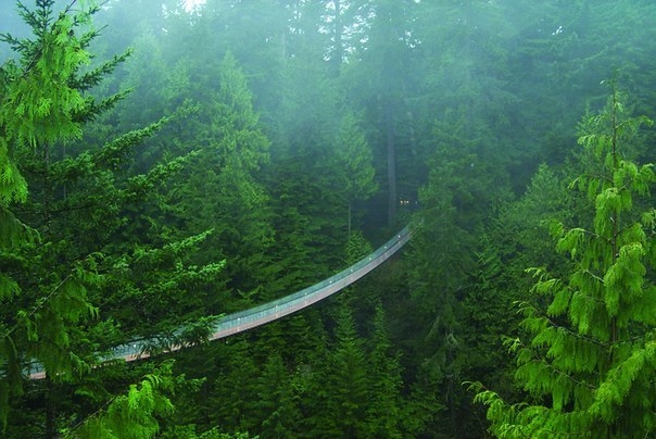 Удивительный мост через реку Капилано в Ванкувере, Канада