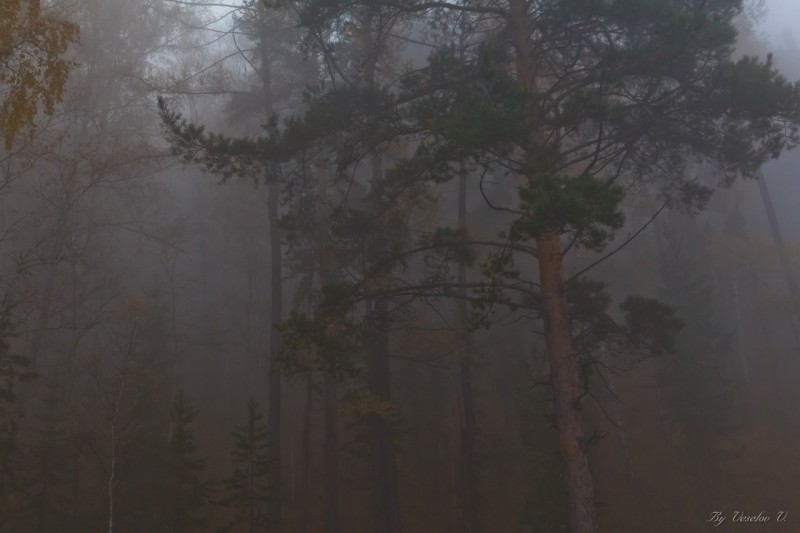 Красноярские Столбы. Сентябрь 2014 - острова в облаках, закат.
