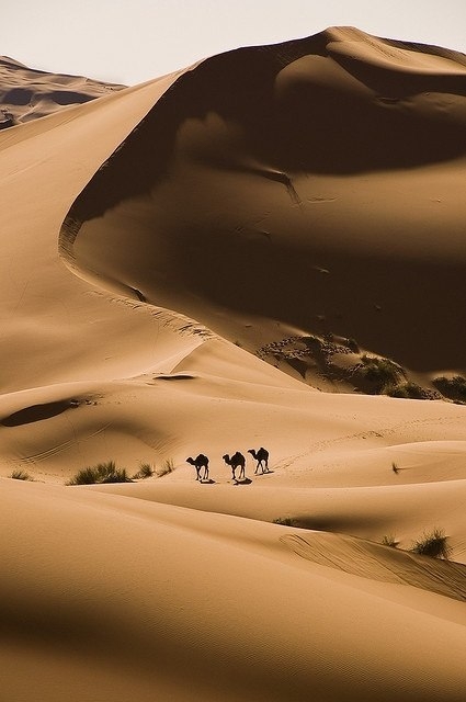 Великая страна жажды - Пустыня Сахара (Sahara Desert) Великая страна жажды - Пустыня Сахара (Sahara Desert)