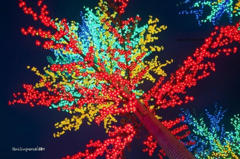 I-City: светящийся сад в Малайзии