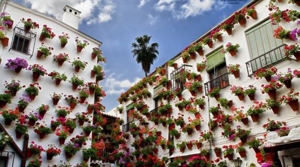 Фестиваль цветов Patios de Cordoba