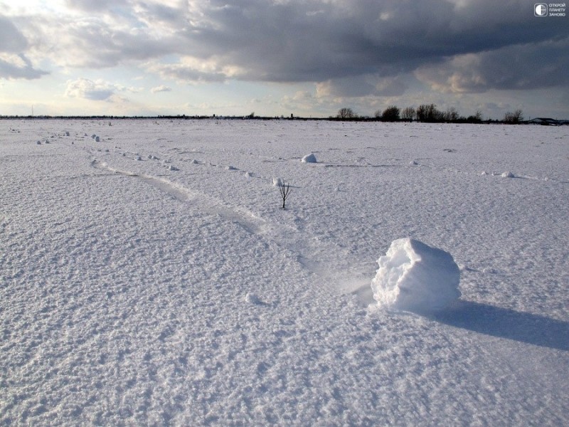 Редкое метеорологическое явление - снежные рулоны