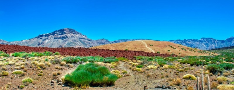 Пейзажи на территории Nacional de El Teide не оставят равнодушным никого.