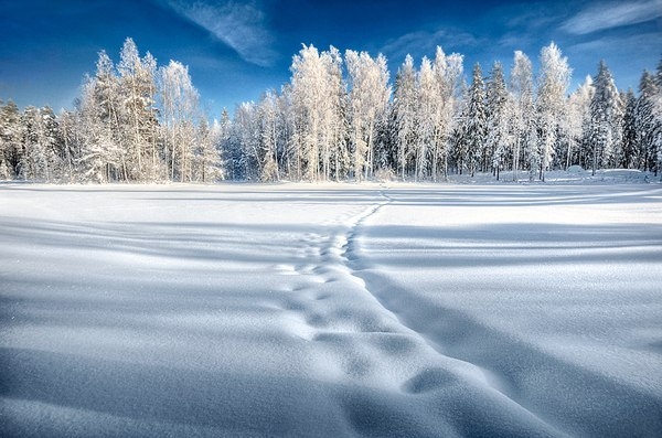 Красивые зимние пейзажи Mikko Lagerstedt