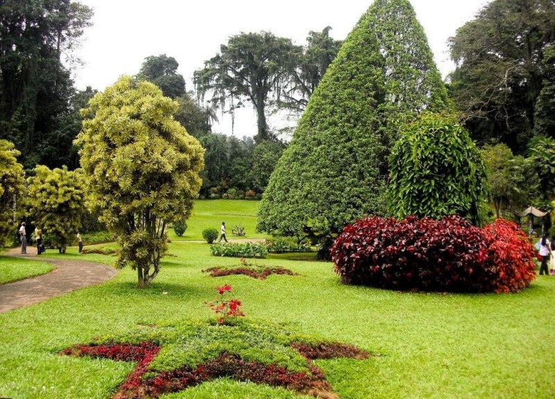 Королевский Ботанический Сад, Шри-Ланка 4