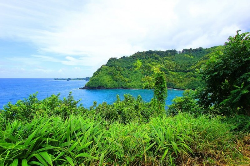 Потрясающие сады острова Мауи, Гавайский архипелаг 5