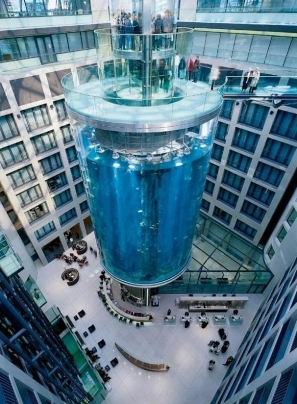 AquaDom AquaDom