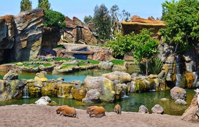 Биопарк Валенсии: Интерактивный Зоопарк