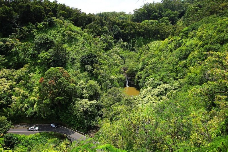 Тропические сады острова Мауи