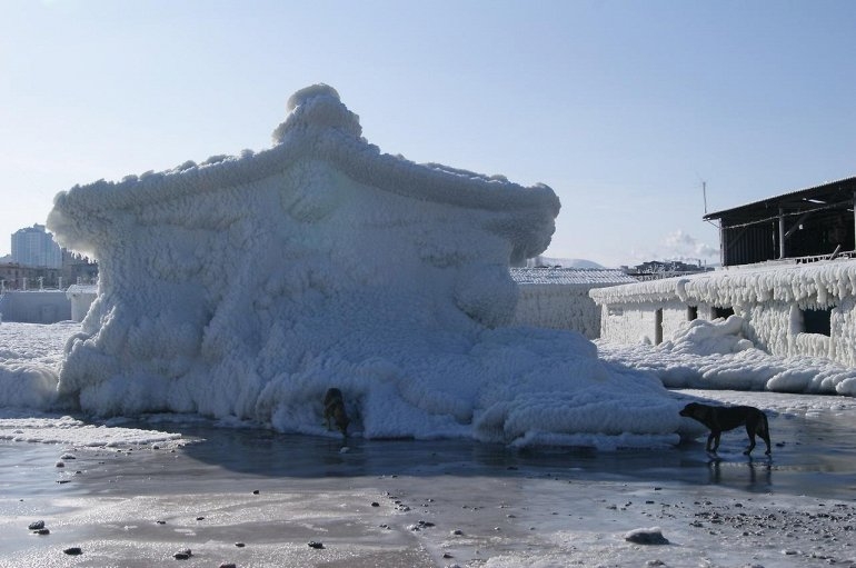 The day after tomorrow или одна неделя портового города