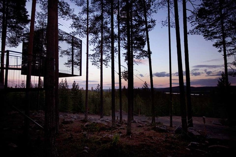 Treehotel в Швеции для любителей природы. Treehotel в Швеции для любителей природы.