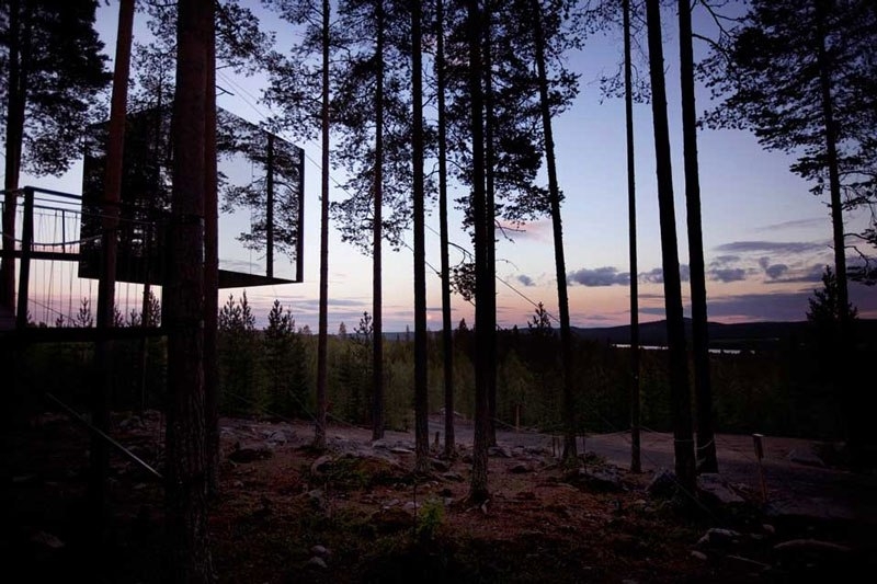 Treehotel в Швеции для любителей природы.