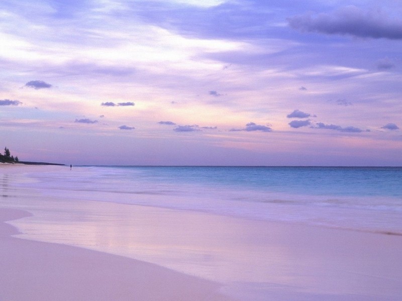 Фиолетовый пляж Пфайффер Бич в Калифорнии 0