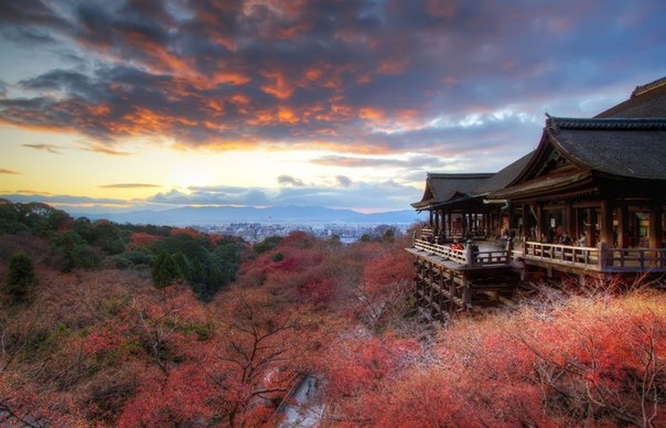 Природа Японии от фотографа Agustin Rafael Reyes