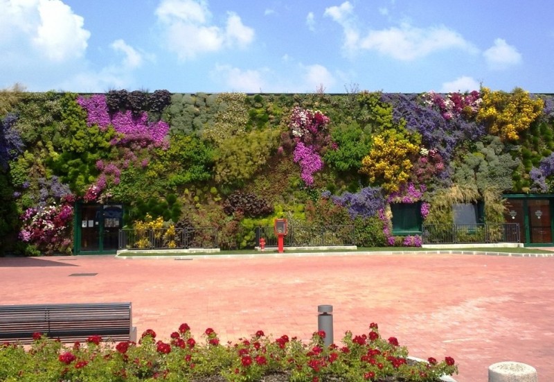 Цветущая стена: вертикальный сад в Россано