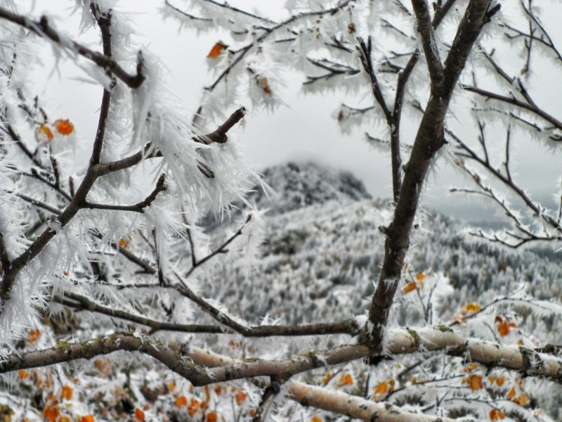Национальный парк Таганай. Первый снег