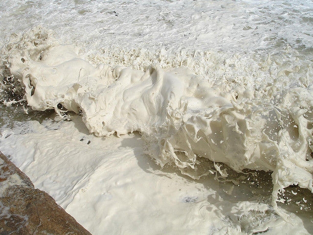 Прибрежный капучино - природный феномен из водорослей и разных отходов