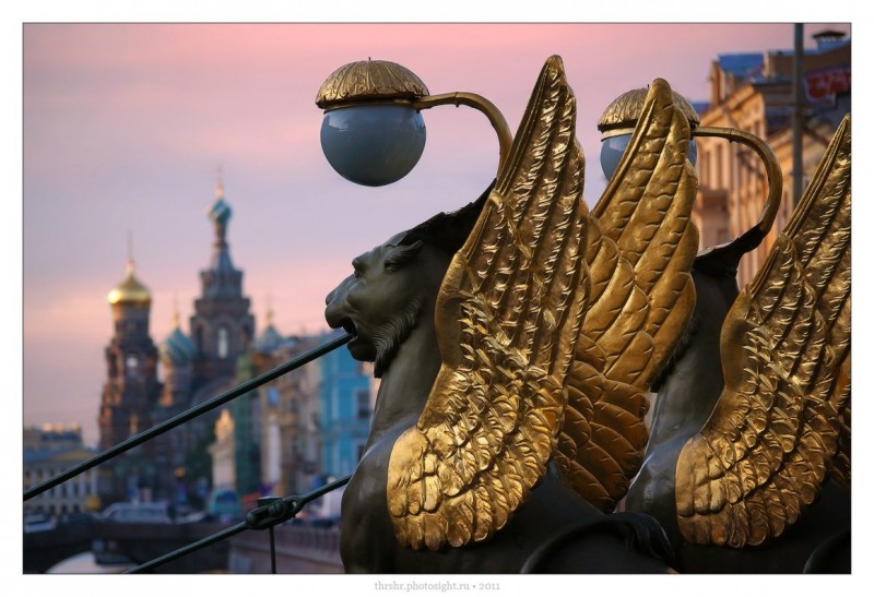 Грифоны Банковского моста. Грифоны Банковского моста.