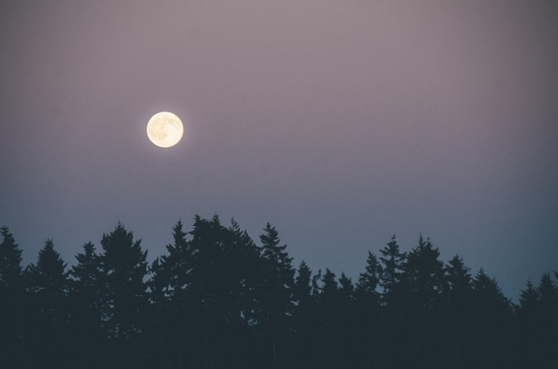 Vancouver Island, Canada