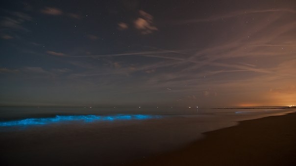 Загадочные светящиеся воды